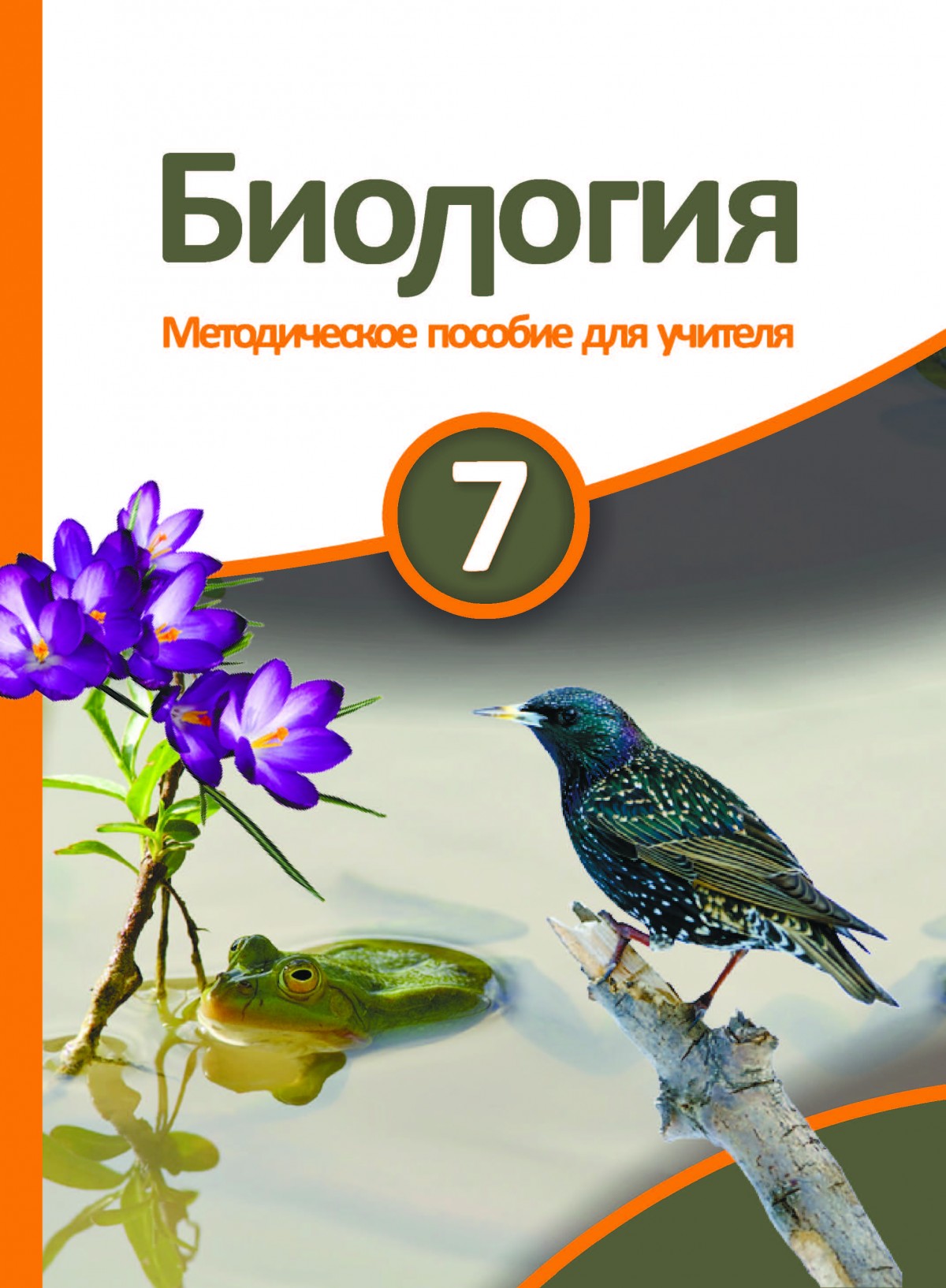 Биология 6 7 класс. Биология для детей. Биология 7 класс. Биология для дошкольников. Биология для детей 5 лет.